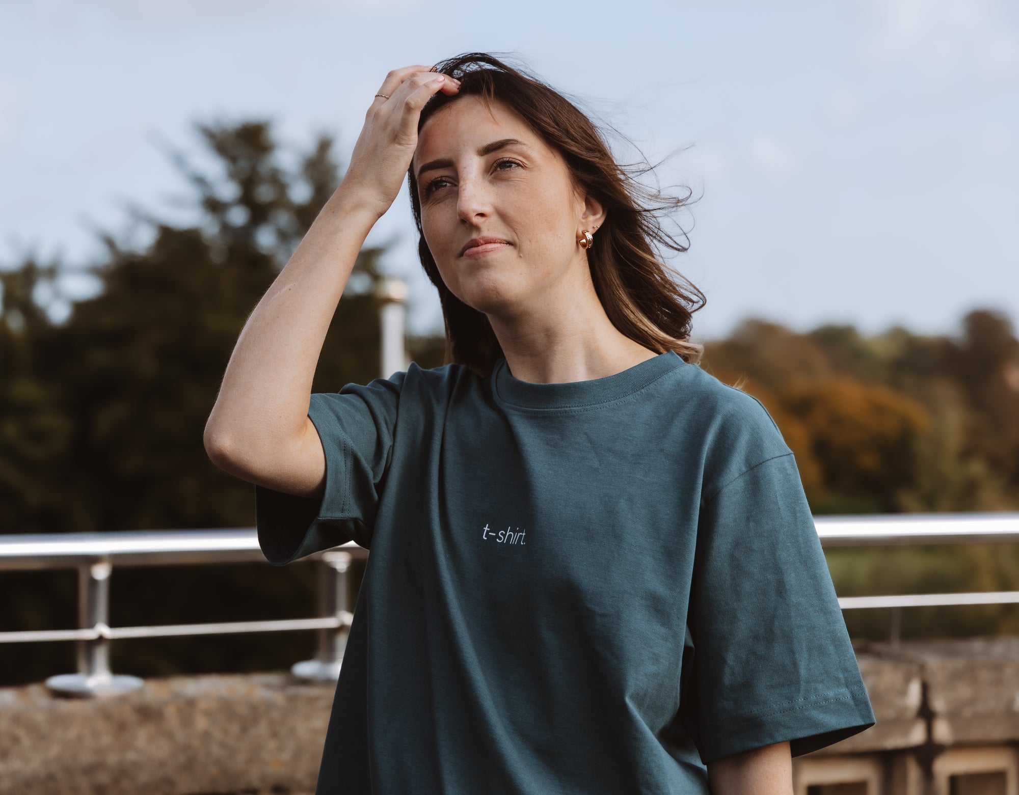 simple. t-shirt. stargazer.